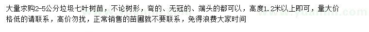 求購2-5公分七葉樹(shù)