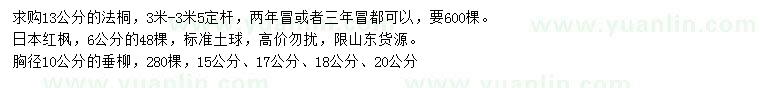 求購法桐、日本紅楓、垂柳