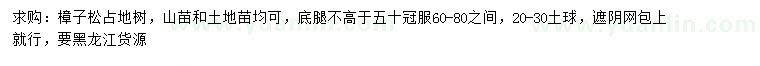 求購樟子松占地樹