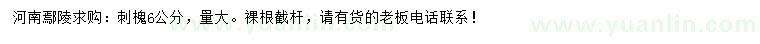 求購(gòu)6公分刺槐