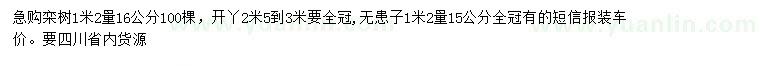 求購1.2米量16公分欒樹、1.2米量15公分無患子