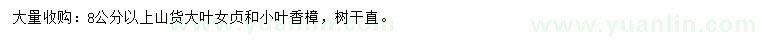 求購(gòu)8公分以上大葉女貞、小葉香樟