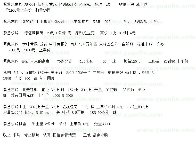 求購香泡、大葉黃楊、楓香等