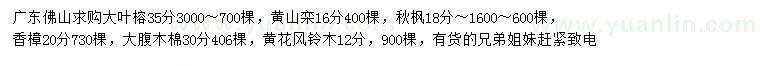 求購(gòu)大葉榕、黃山欒、秋楓等