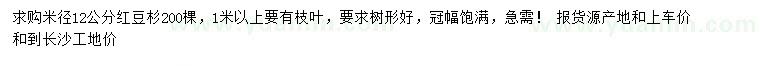 求購米徑12公分紅豆杉