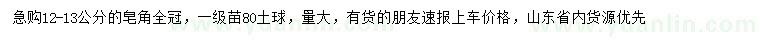 求購12-13公分皂角