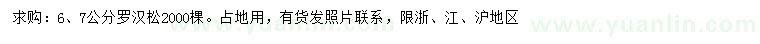 求購(gòu)6、7公分羅漢松