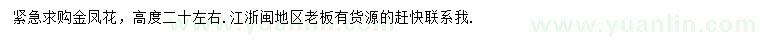 求購高20公分金鳳花