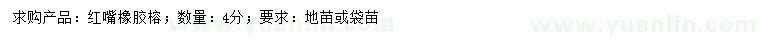 求購4公分紅嘴橡膠榕