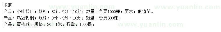 求購小葉欖仁、雞冠刺桐、黃榕球