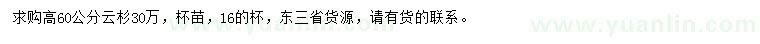 求購(gòu)高60公分云杉