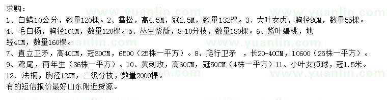 求購白蠟、雪松、大葉女貞等
