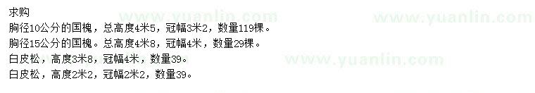 求購10、15公分國槐、高2.2、3.8米白皮松