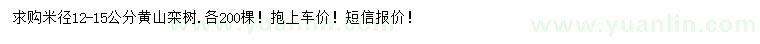 求購米徑12-15公分黃山欒樹(shù)