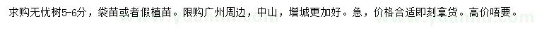 求購(gòu)5-6公分無憂樹