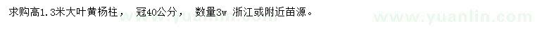 求購(gòu)高1.3米大葉黃楊柱