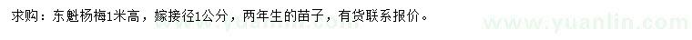 求購高1米東魁楊梅