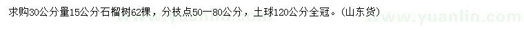 求購30公分量15公分石榴樹