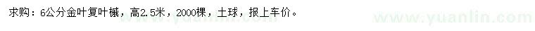 求購(gòu)6公分金葉復(fù)葉槭
