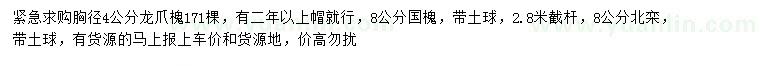 求購(gòu)龍爪槐、國(guó)槐、北欒