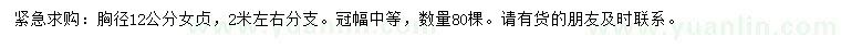 求購胸徑12公分女貞