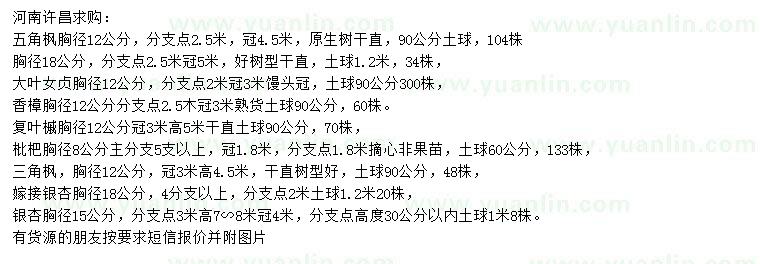 求購五角楓、大葉女貞、香樟等