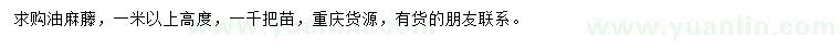 求購高1米以上油麻藤