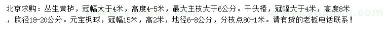 求購叢生黃櫨、千頭椿、元寶楓球