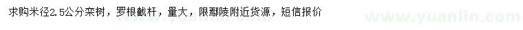 求購米徑2.5公分欒樹