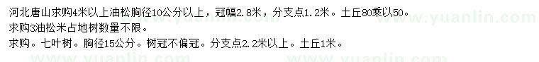 求購3、4米以上油松、胸徑15公分七葉樹