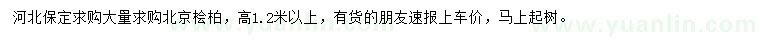 求購高1.2米以上北京檜柏