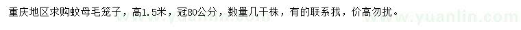 求購(gòu)高1.5米蚊母
