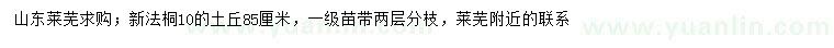 求購10公分法桐