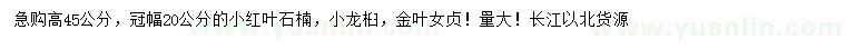 求購紅葉石楠、龍桕、金葉女貞