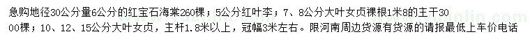 求購紅寶石海棠、紅葉李、大葉女貞