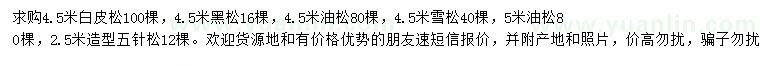 求購白皮松、黑松、油松等
