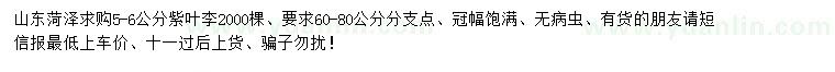 求購(gòu)5-6公分紫葉李