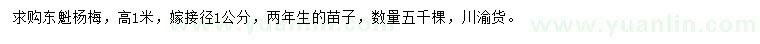 求購高1米東魁楊梅