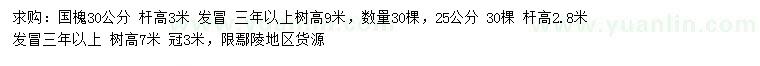 求購25、30公分國槐
