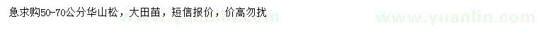 求購50-70公分華山松