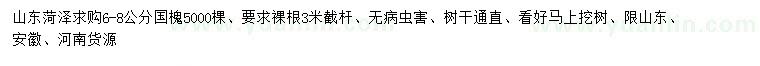 求購6-8公分國槐