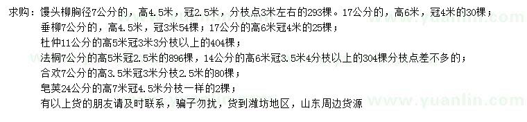 求購饅頭柳、垂柳、法桐等