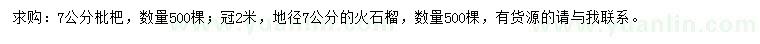 求購7公分枇杷、火石榴