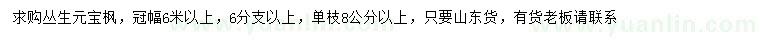 求購冠幅6米以上叢生元寶楓