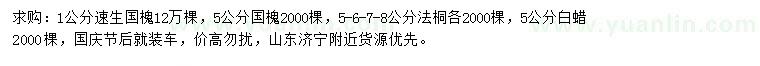 求購速生國槐、法桐、白蠟