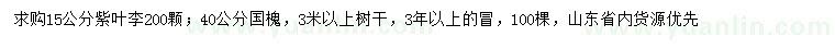 求購15公分紫葉李、40公分國槐