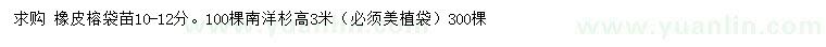 求購(gòu)10-12公分橡皮榕、高3米南洋杉