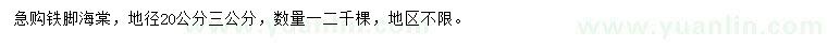 求購20公分3公分鐵腳海棠