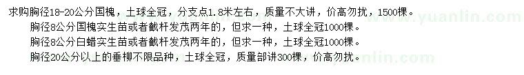 求購國槐、白蠟、垂柳