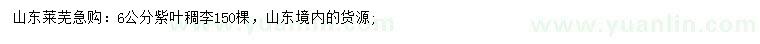 求購(gòu)6公分紫葉稠李